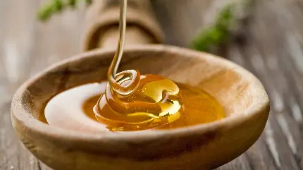 تصویر استوک جذاب و نزدیک از سرو عسل شفاف و طلایی رنگ 