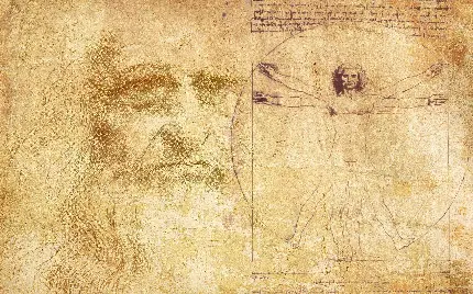 دانلود عکس نقاشی مرد ویترویوسی و خودنگاره یکجا کنار هم از لئوناردو داوینچی