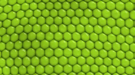 تصویر چند ضلعی با رنگ سبز خاص که شکل لانه زنبوری را تشکیل داده است 