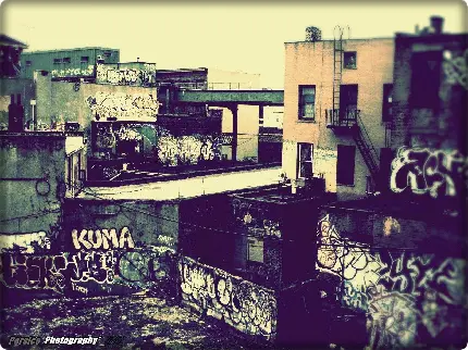 دانلود رایگان و با کیفیت عکس استوک نقاشی های دیواری پایین شهر 