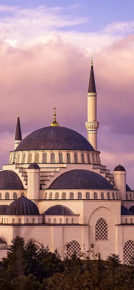 عکس منحصر به فرد و خاص از مسجد اسلامی با سقف گرد 