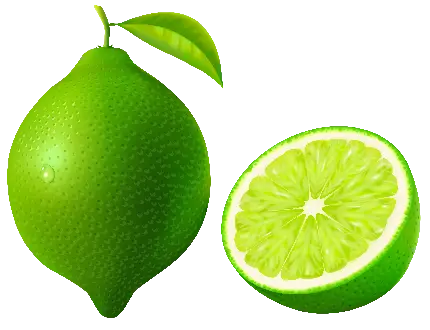 عکس png لیمو سبز کارتونی نصف شده با مزه پیچیده و اسیدی
