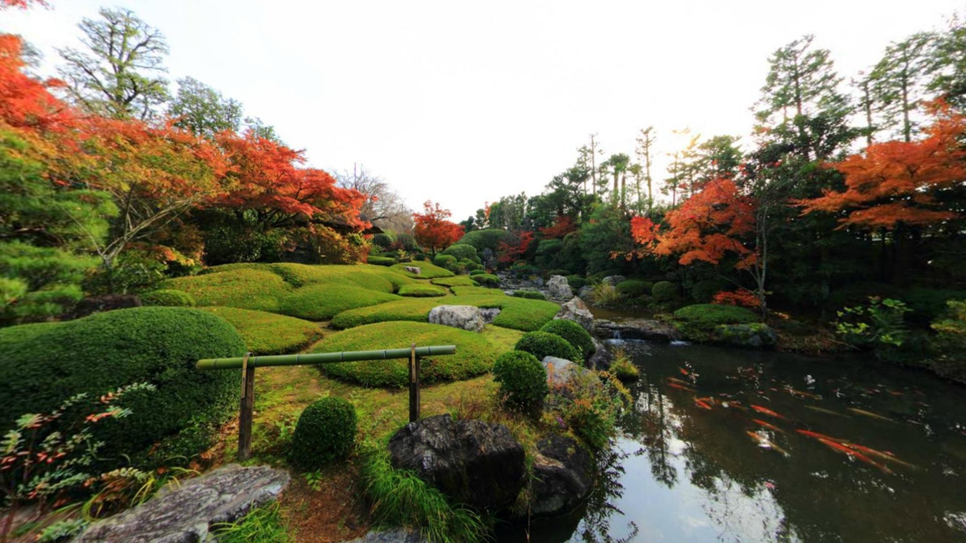  بک گراند ذن طبیعت ژاپن در فصل پاییز برای علاقه‌مندان مدیتیشن 