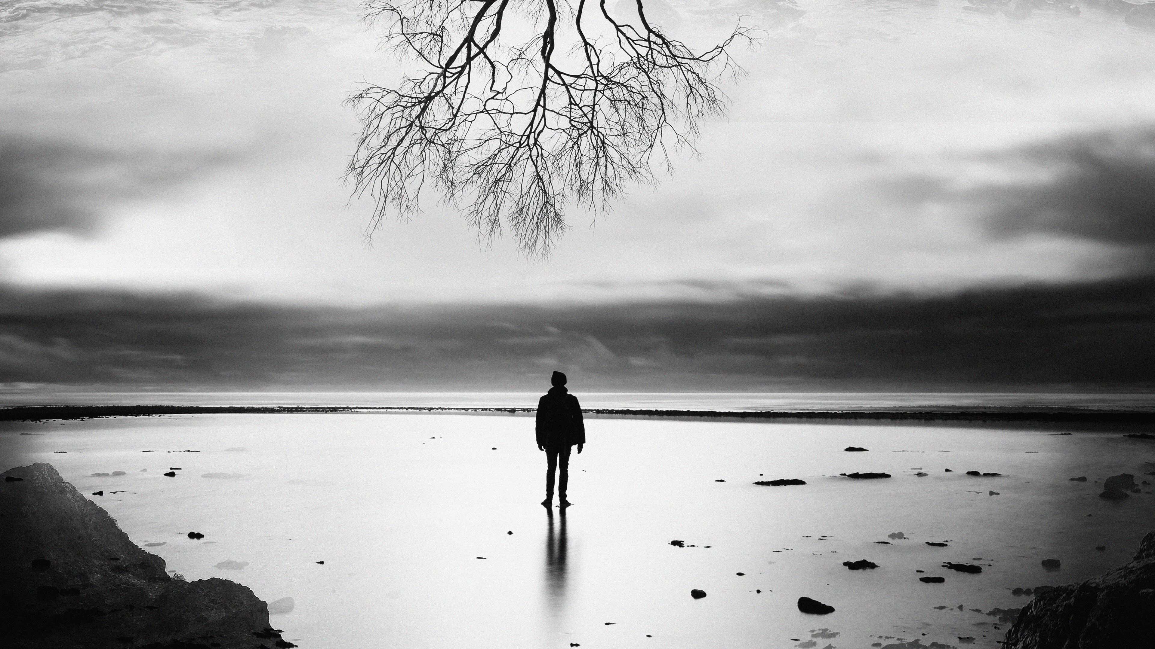 عکس زمینه سیاه و سفید درخت کوچک زندگی بالای سر مرد تنها