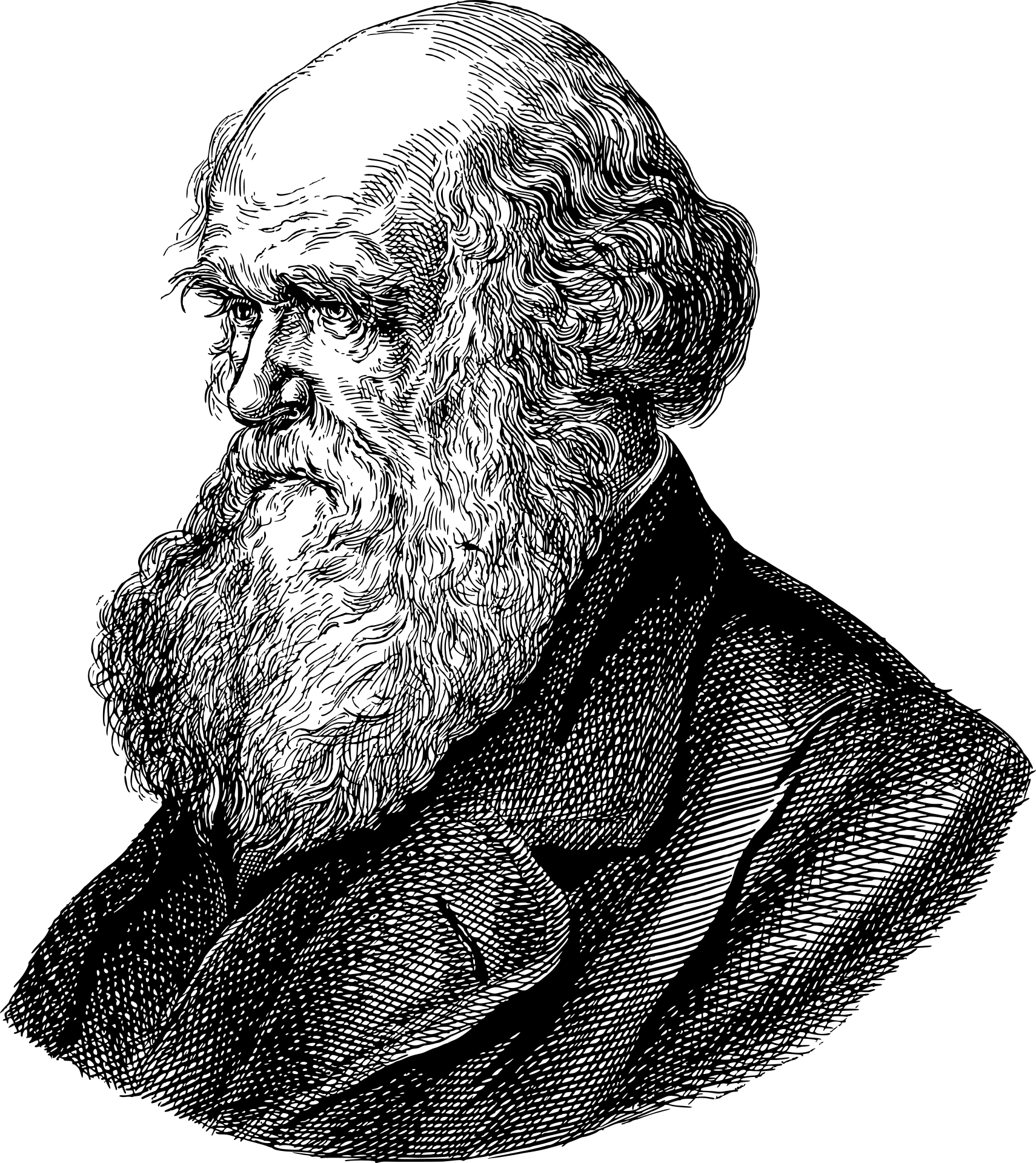 تصویر پی ان جی و دور بری شده نظریه پرداز و زیست شناس معروف انگلیسی چارلز داروین 