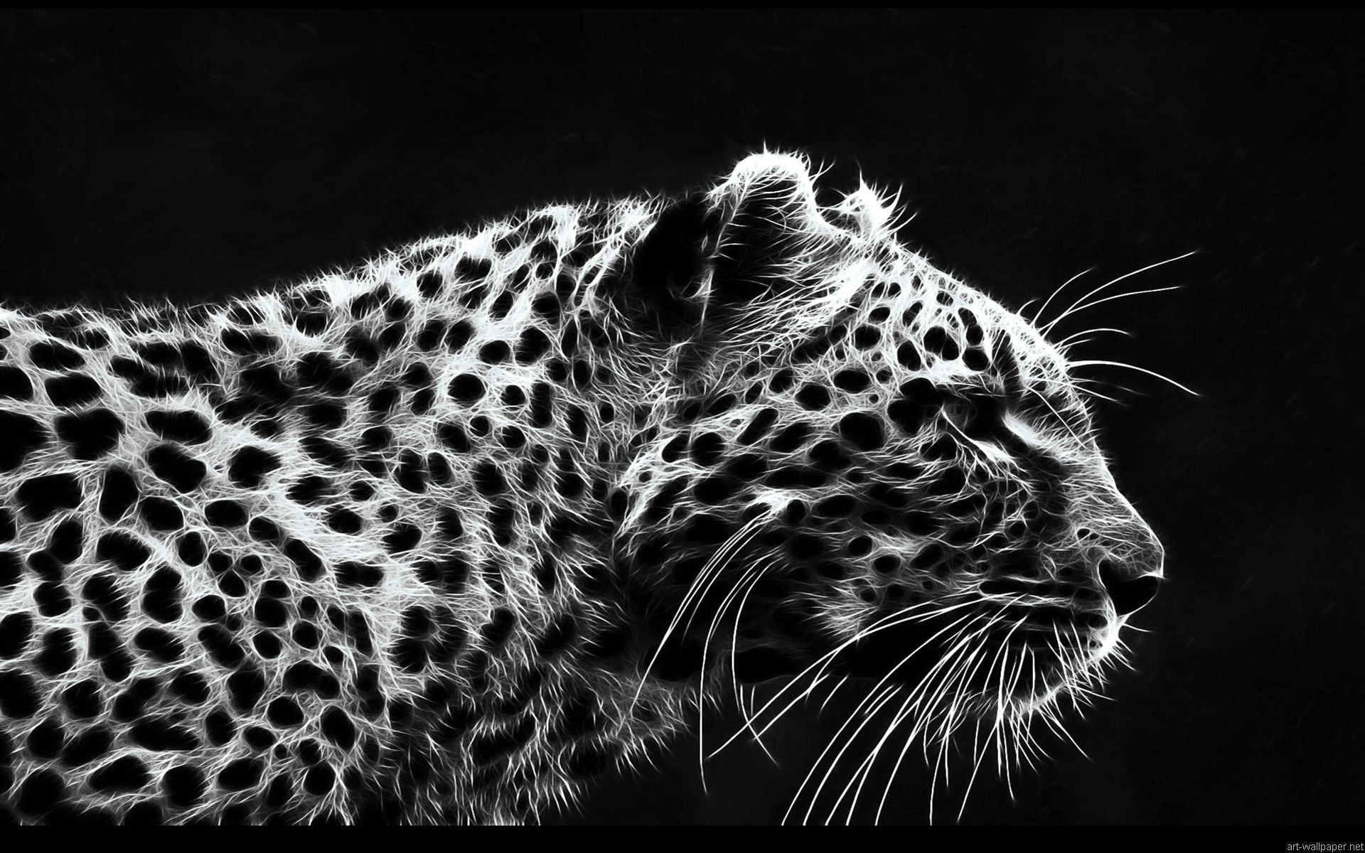 والپیپر سیاه سفید از یوز پلنگ کمیاب و در حال انقراض