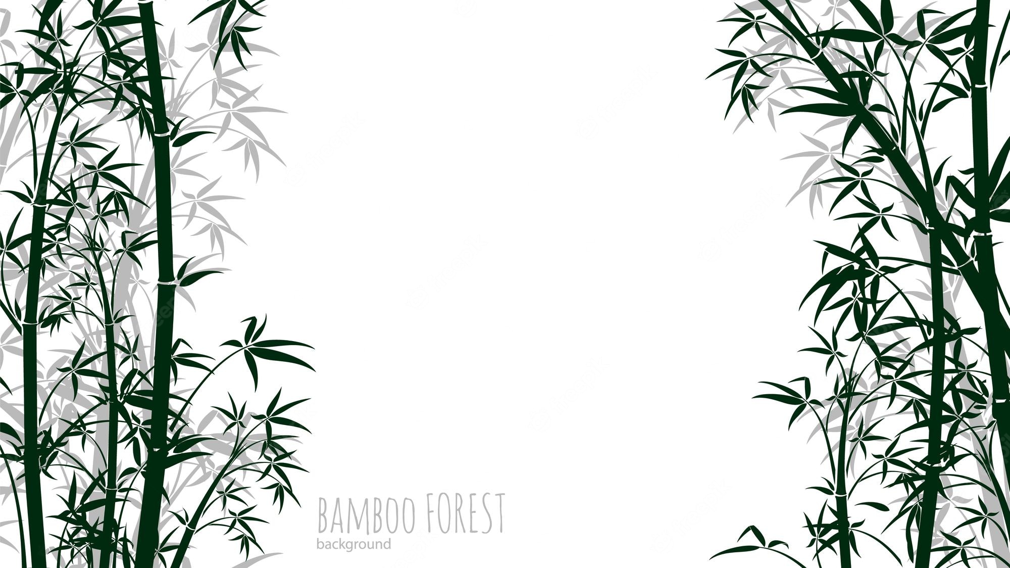 کادر دور عکس درختان بامبو مناسب عکس نوشته و تصویر زمینه کامپیوتر