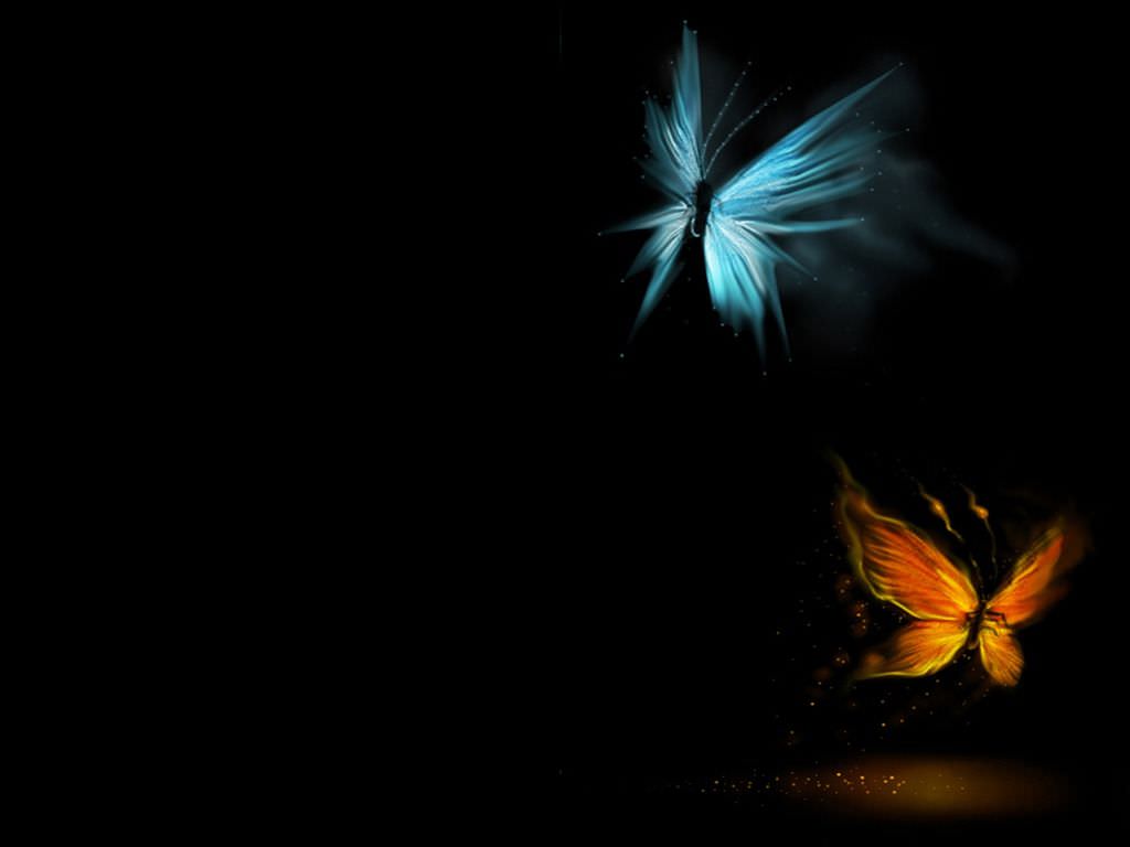عکس فوق العاده زیبا از پروانه های سبز آبی و نارنجی 