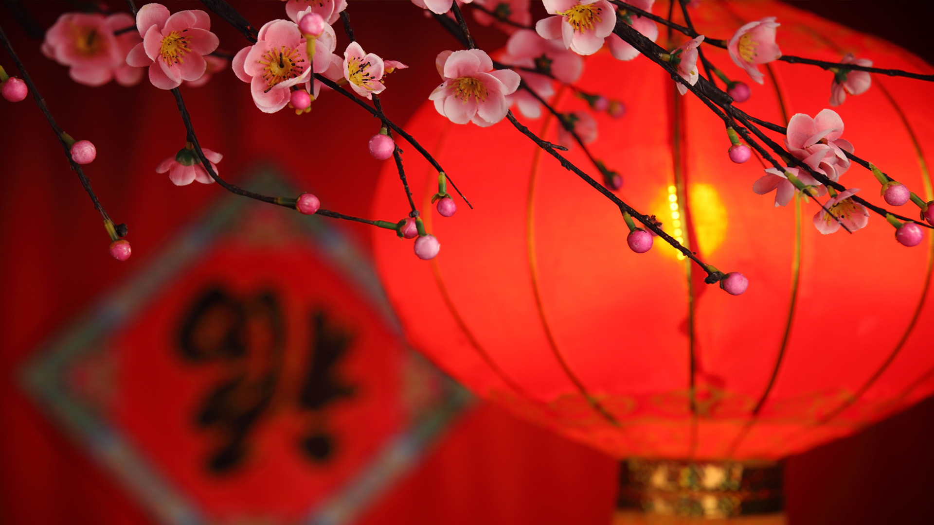 عکس پروفایل قرمز رنگ چینی از فانوس در کنار شکوفه های بهاری 