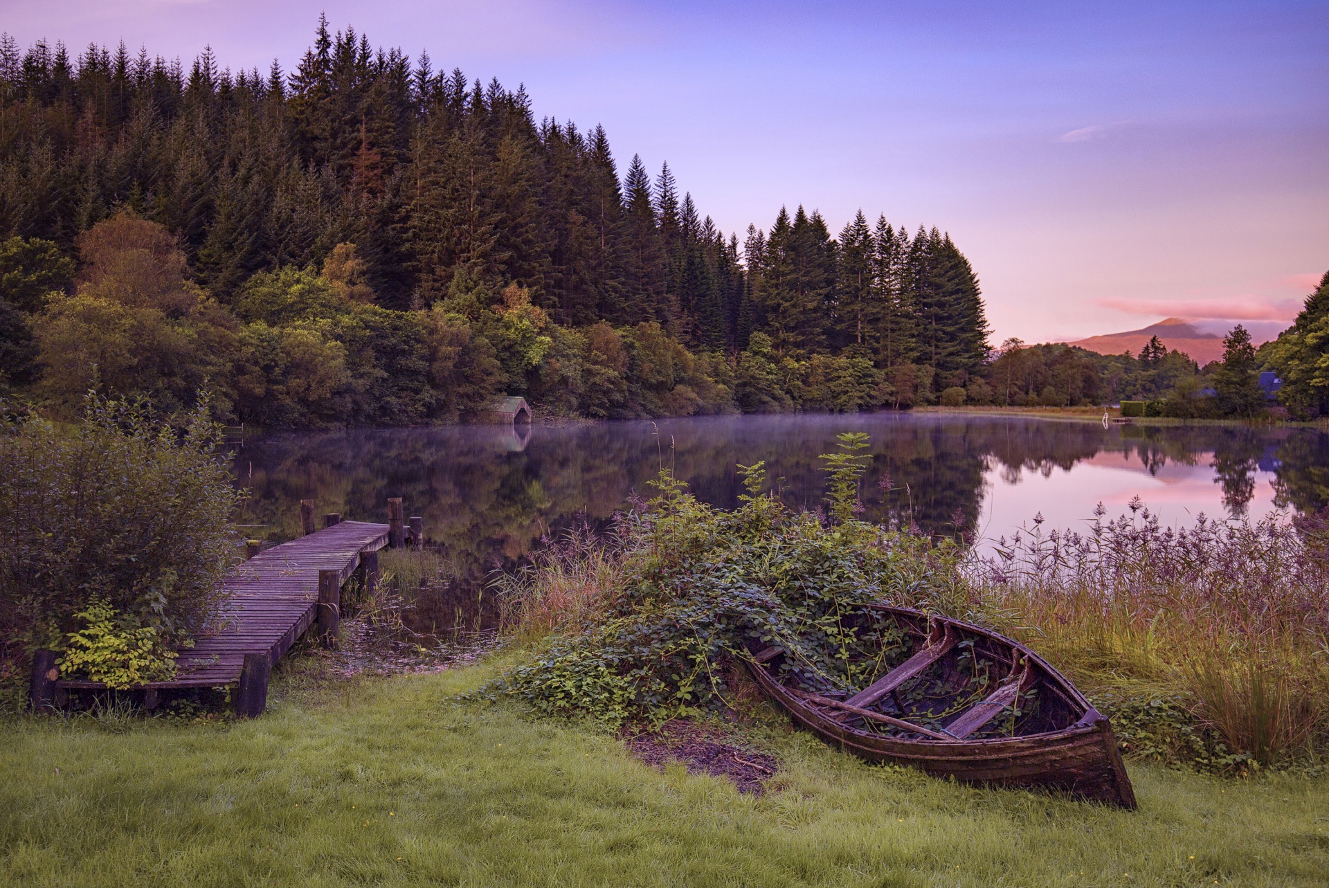 عکس جنگل بکر و دست نخورده لب دریاچه با قایقی کنارآن برای پروفایل واتساپ 