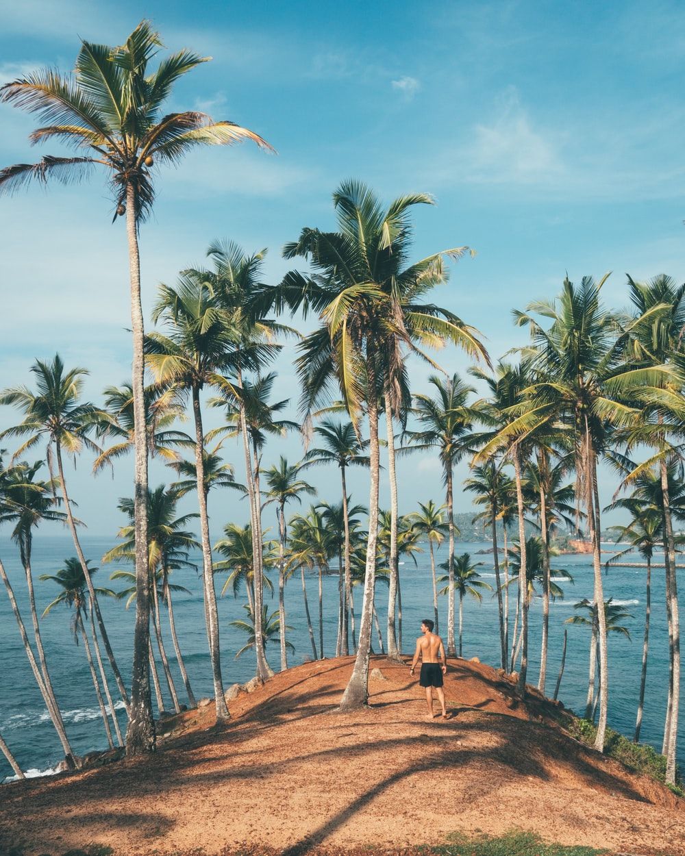 پس زمینه لپ تاپ از مکان تفریحی گردشگری جزیره فرازیونه در سیشل اقیانوس هند