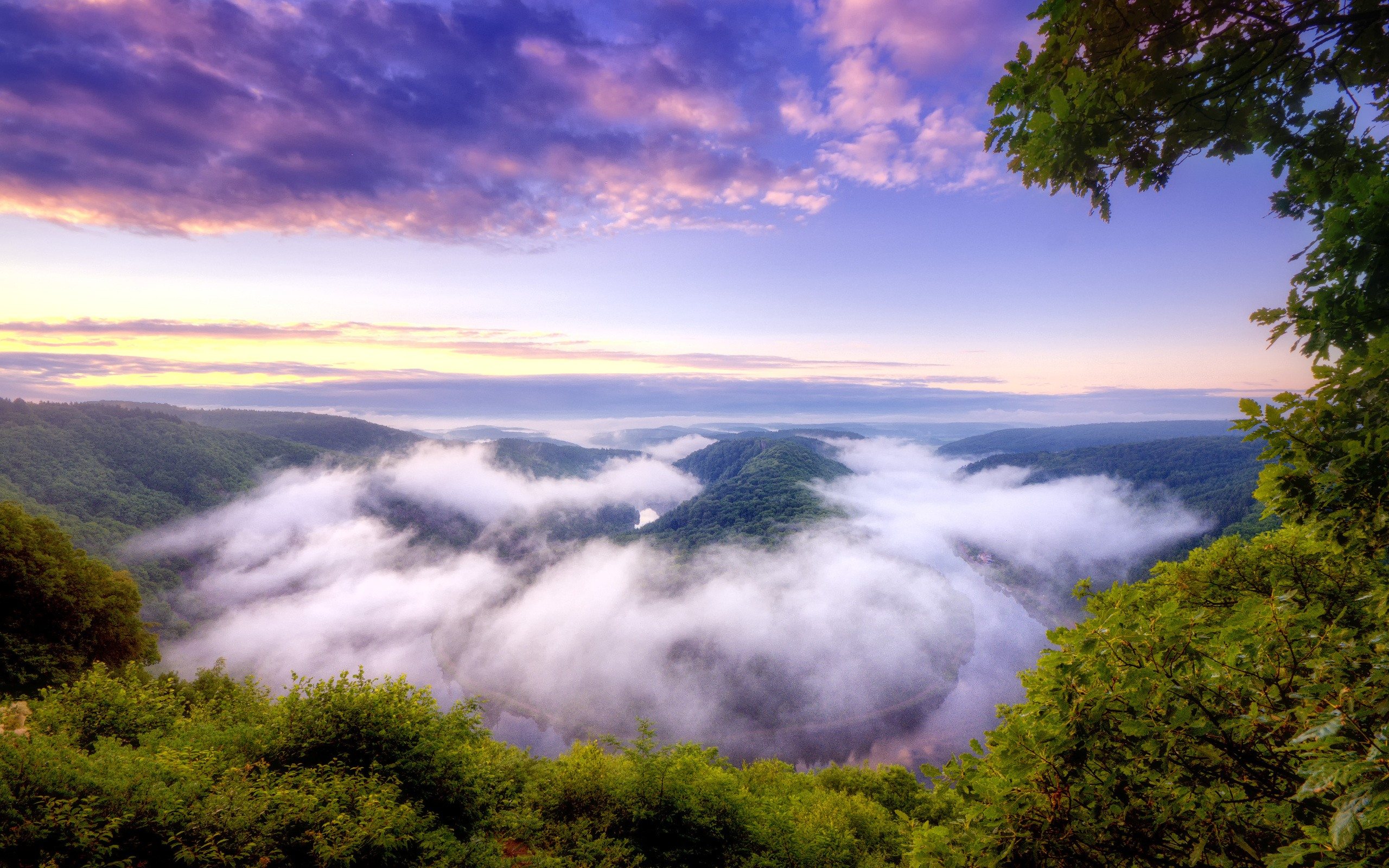 عکس پروفایل منطقه جنگلی سرسبز و خرم زیر ابر برای استوری اینستاگرام