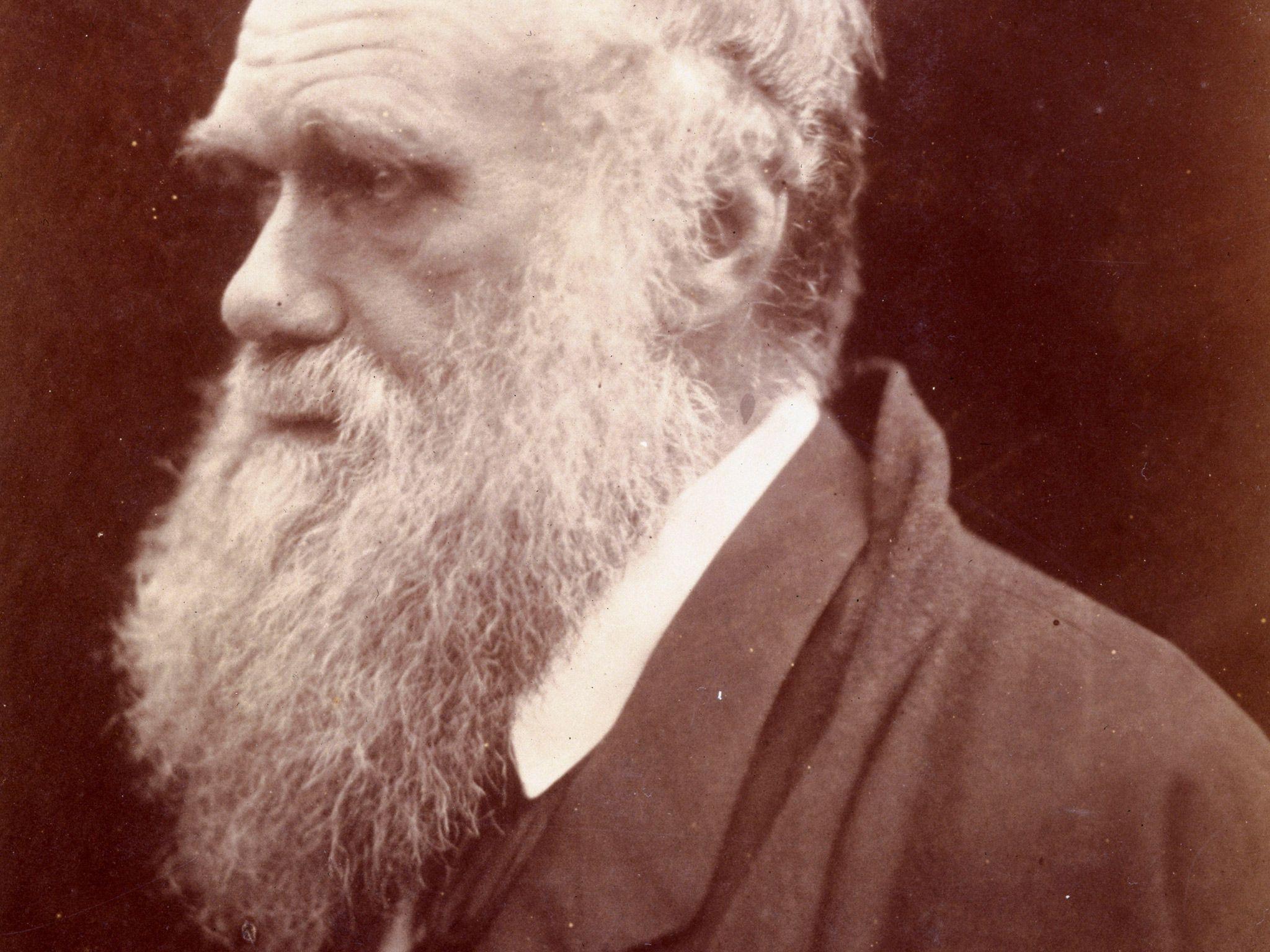 تصویر عالم زیست شناس و نظریه پرداز معروف انگلیسی به نام چارلز داروین