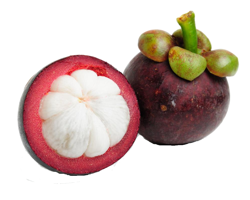 عکس واقعی و پی ان جی PNG میوه ترگیل دوربری شده رایگان 