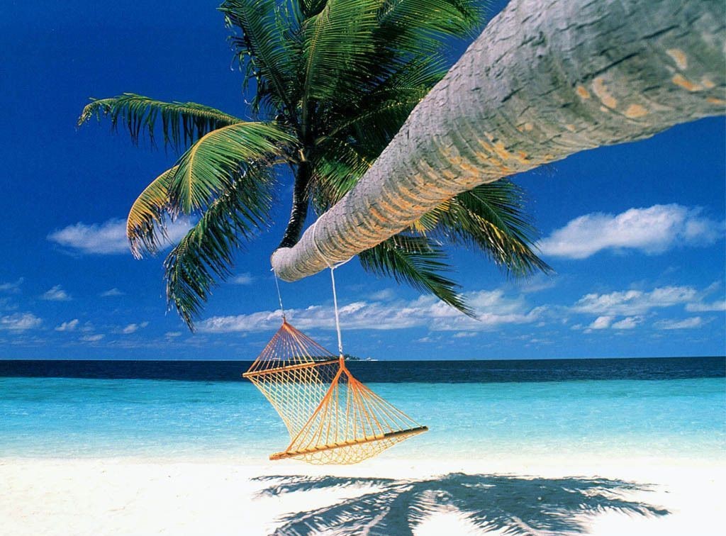 تصویر زمینه آرامش دهنده تابستانی با طرح تاب و ننو ساحلی در حاشیه دریای آبی
