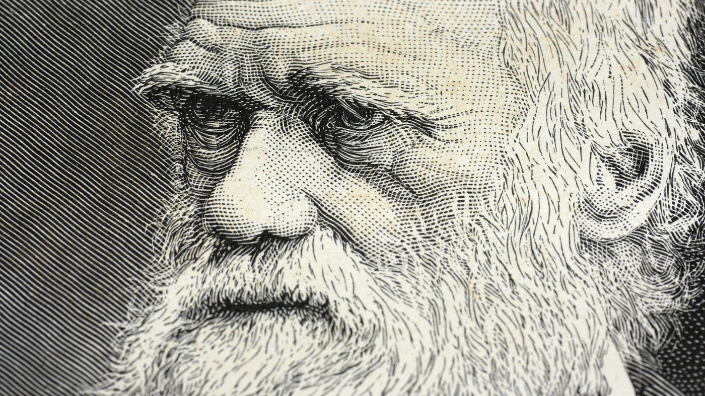 دانلود عکس استوک فول اچ دی رایگان از چهره چارلز داروین