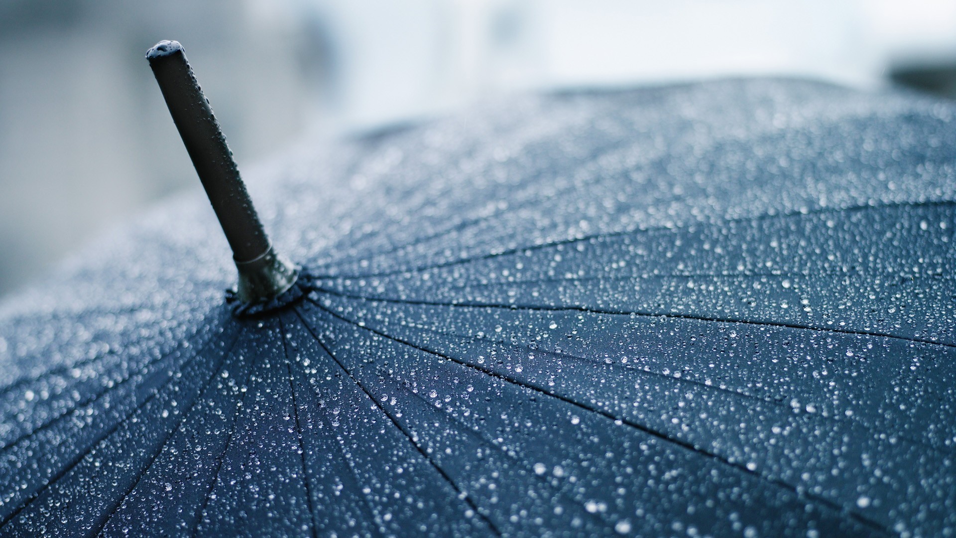 متفاوت ترین نمای قطرات باران روی چتر مشکی که می توانید با چشم خود ببینید