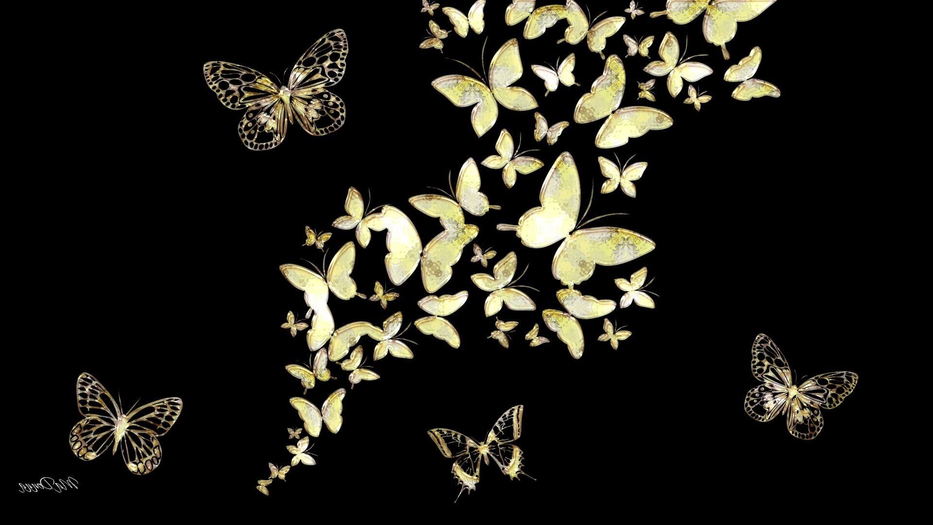  عکس پروانه های زیبای طلایی مخصوص تصویر زمینه دسکتاپ 