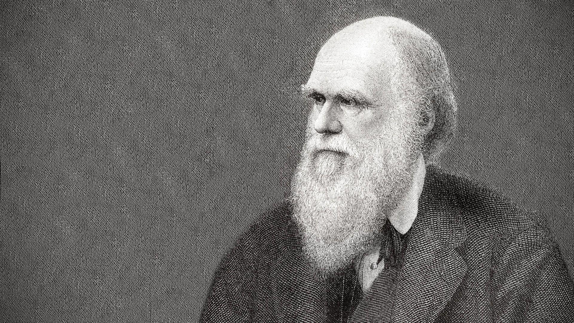دانلود عکس پی ان جی چارلز داروین Charles Darwin با بالاترین کیفیت 
