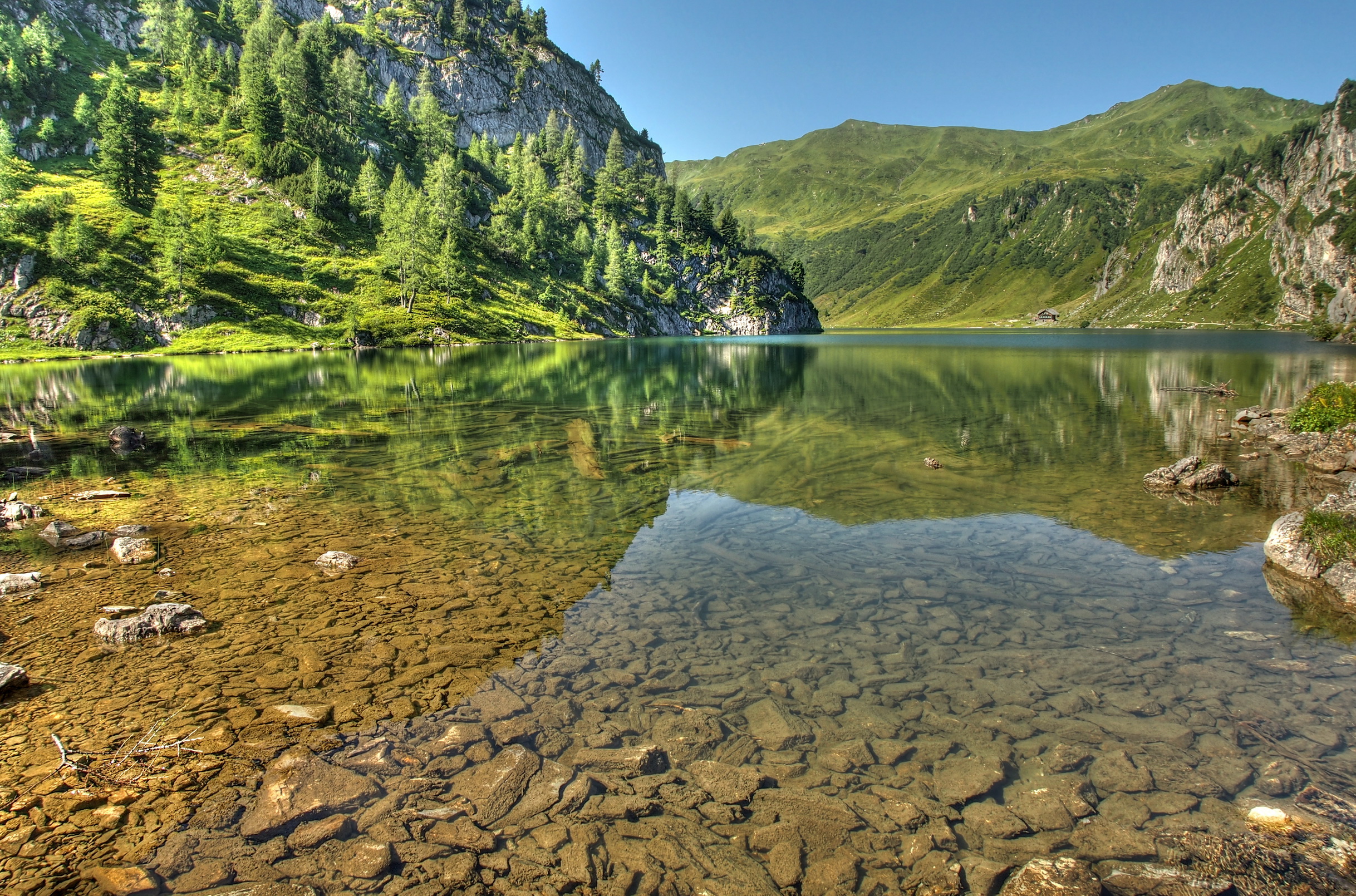 بک گراند دریاچه ی شفاف جلوی کوه های پوشیده از درخت پر طراوت