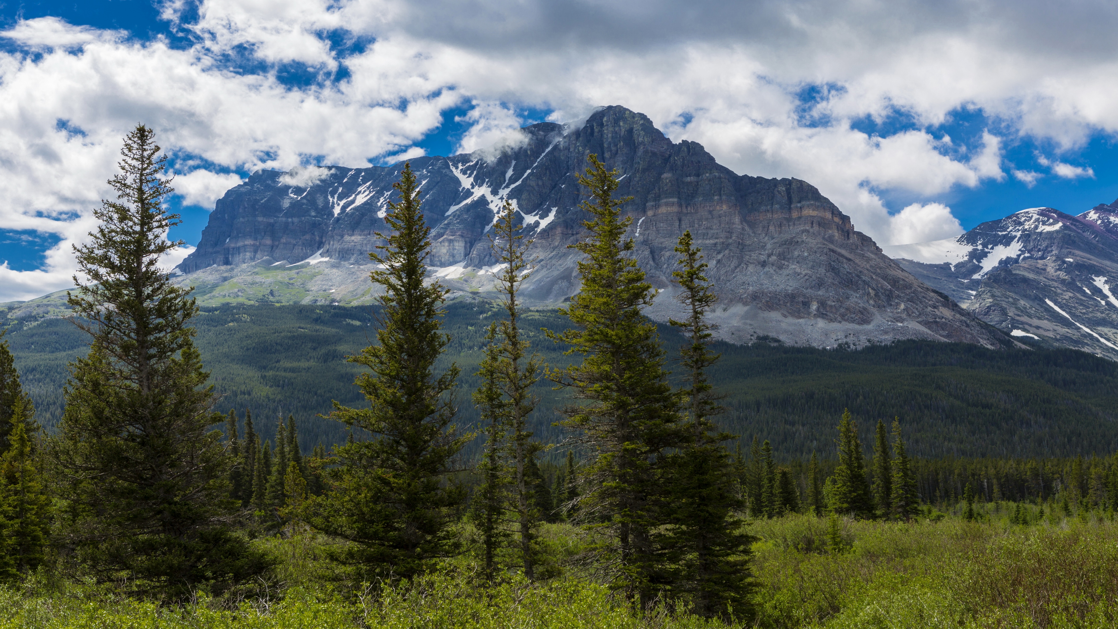 عکس ارتفاعات جنگلی در دوردست ترین منطقه از کوه های مرتفع برای زمینه لپ تاپ