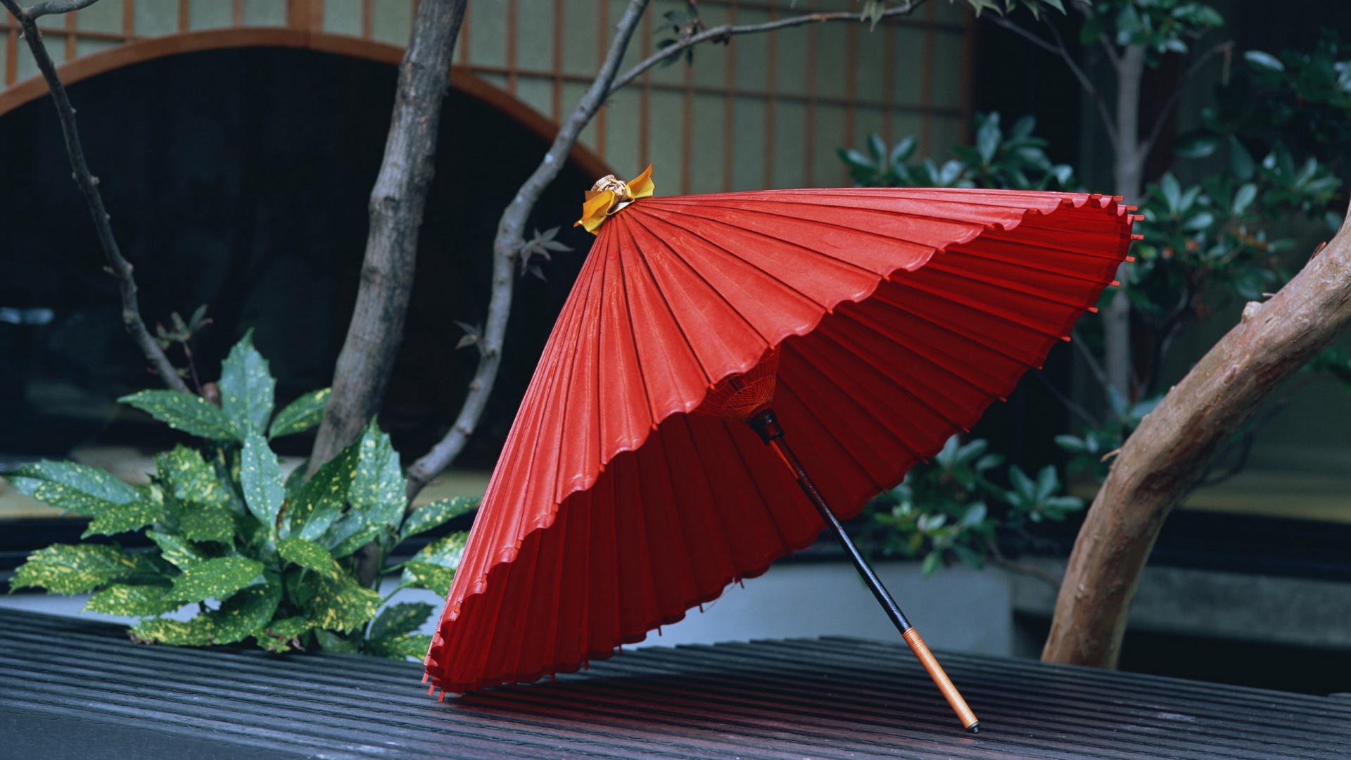 عکس استوک از چتر قرمز نماد خانم های زیبا در ژاپن