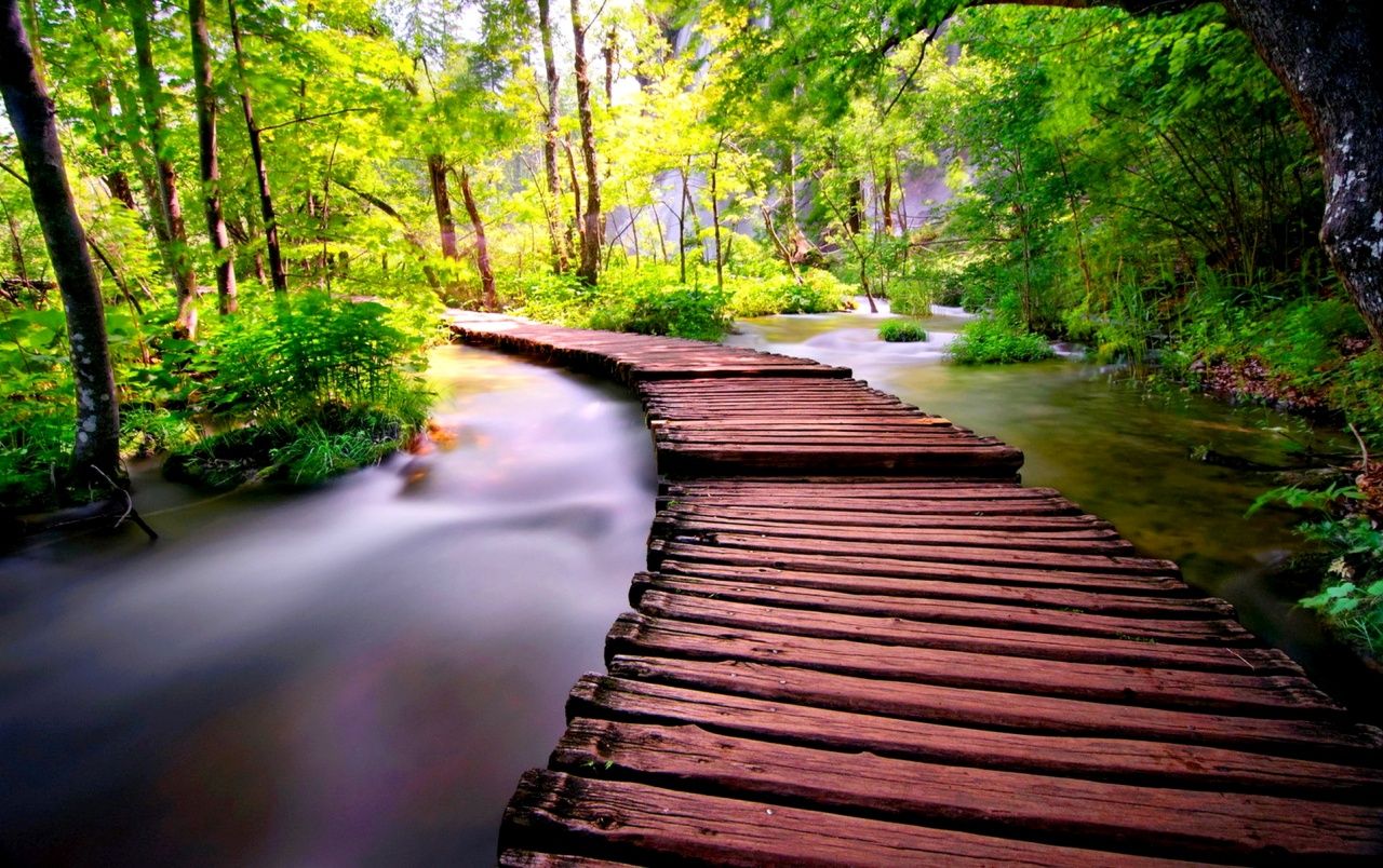 والپیپر شگفت آور از پل روی آب در جنگل سر سبز و رویایی