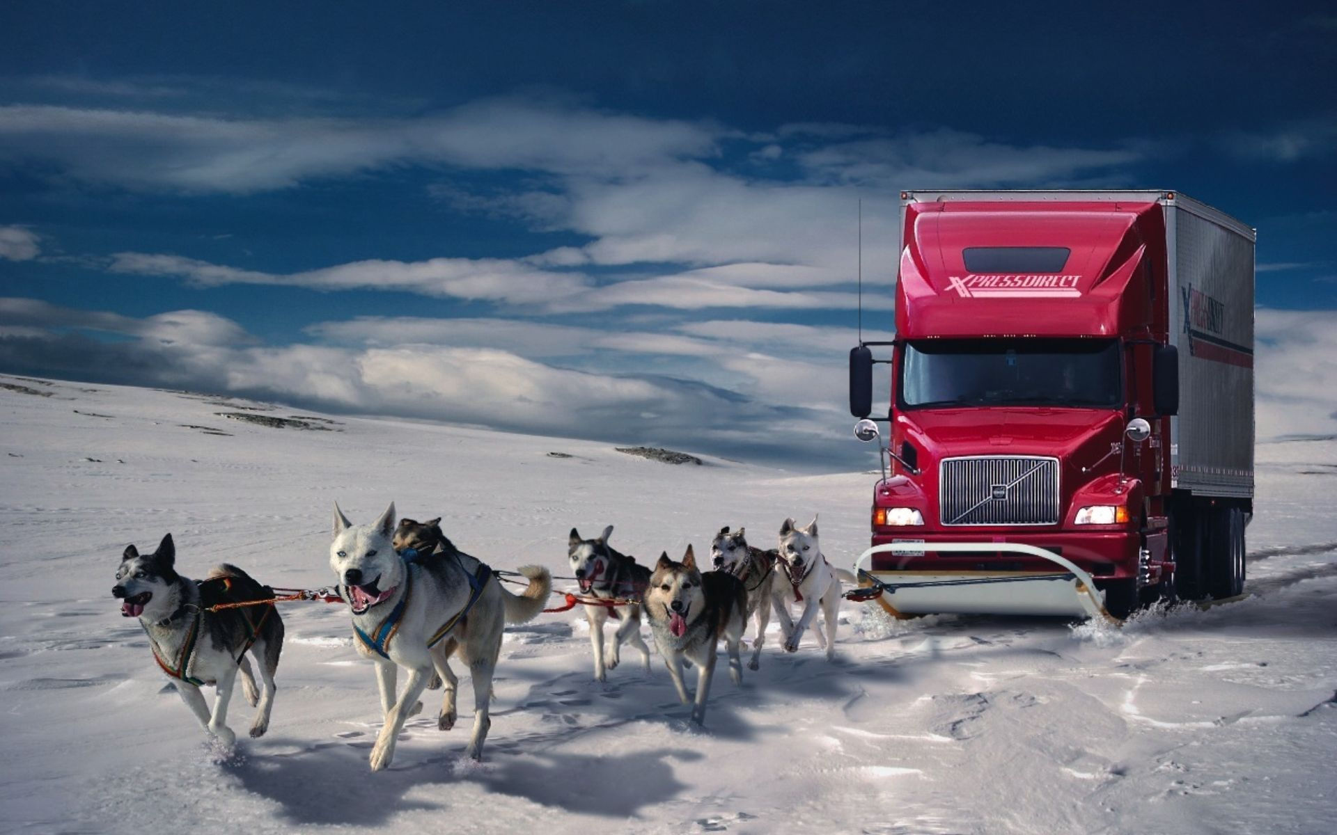 والپیپر فوق العاده جالب از ماشین قرمز با اسب های زیبا در فصل زمستان 