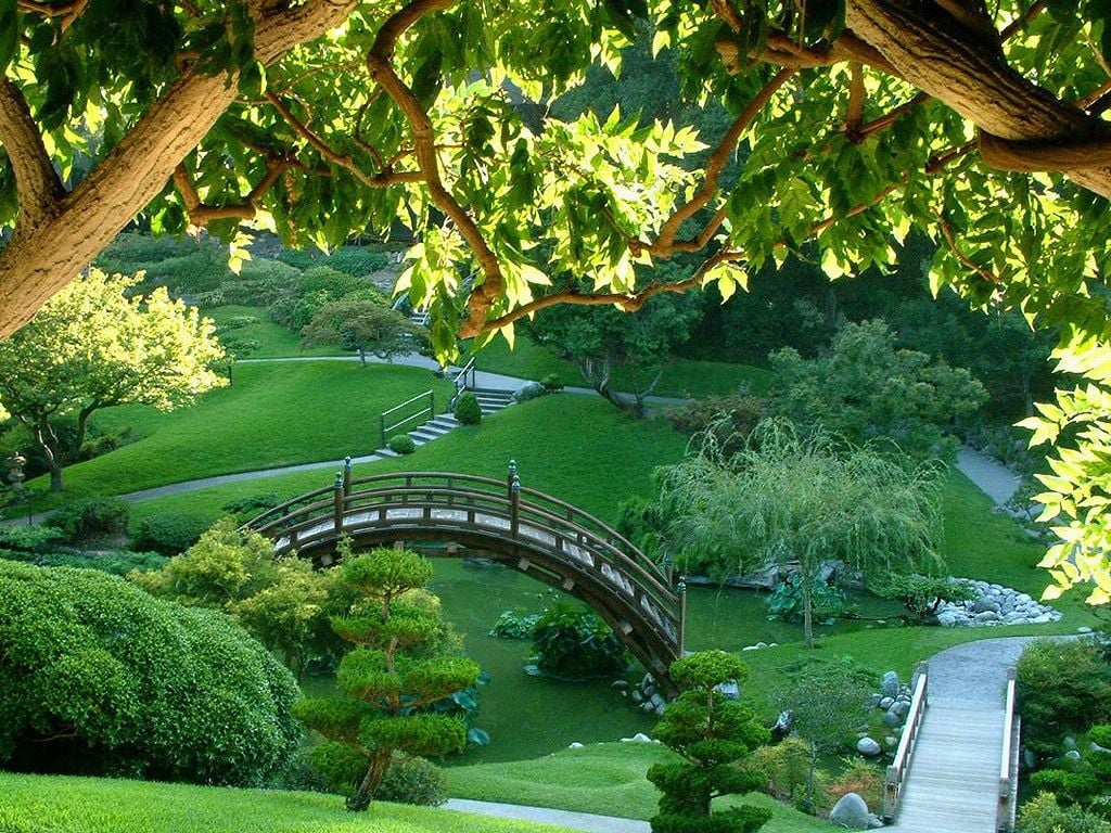تصویر زیبا شناسی ذن ژاپنی پل و طبیعت فوق العاده 