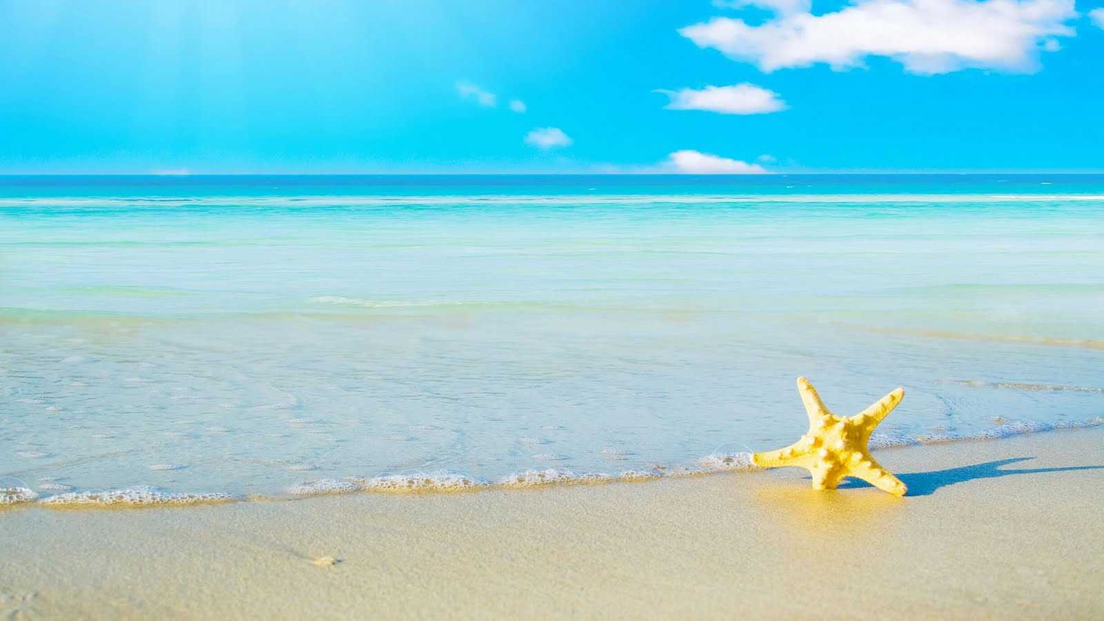 تصویر زمینه تماشایی از ساحل و دریای بیکران و ستاره ی صدفی