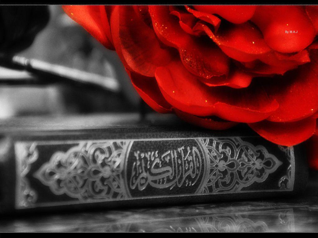 والپیپر خیلی خوشگل از گل رز قرمز در بالای قرآن کریم 