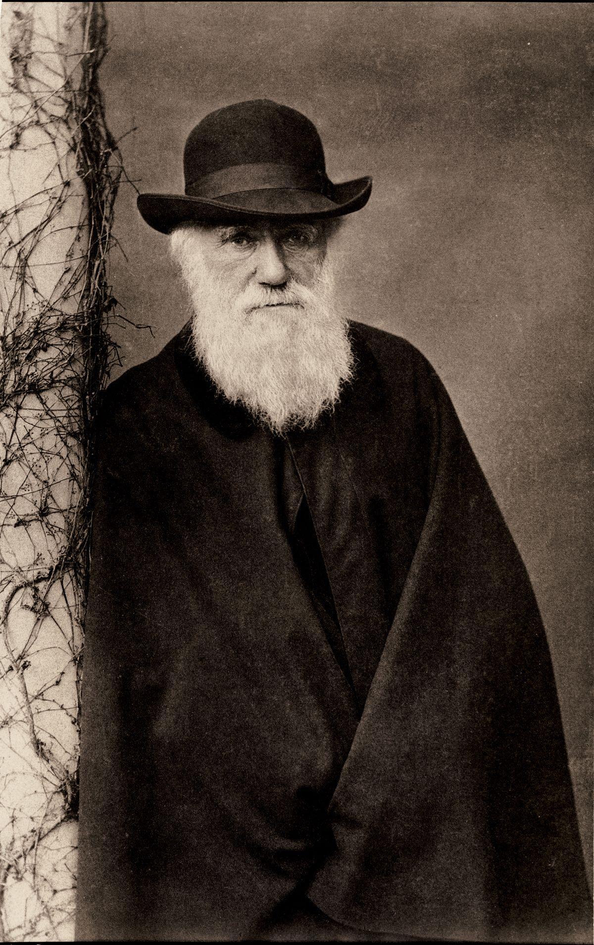عکس استوک رایگان چارلز رابرت داروین Charles Robert Darwin 
