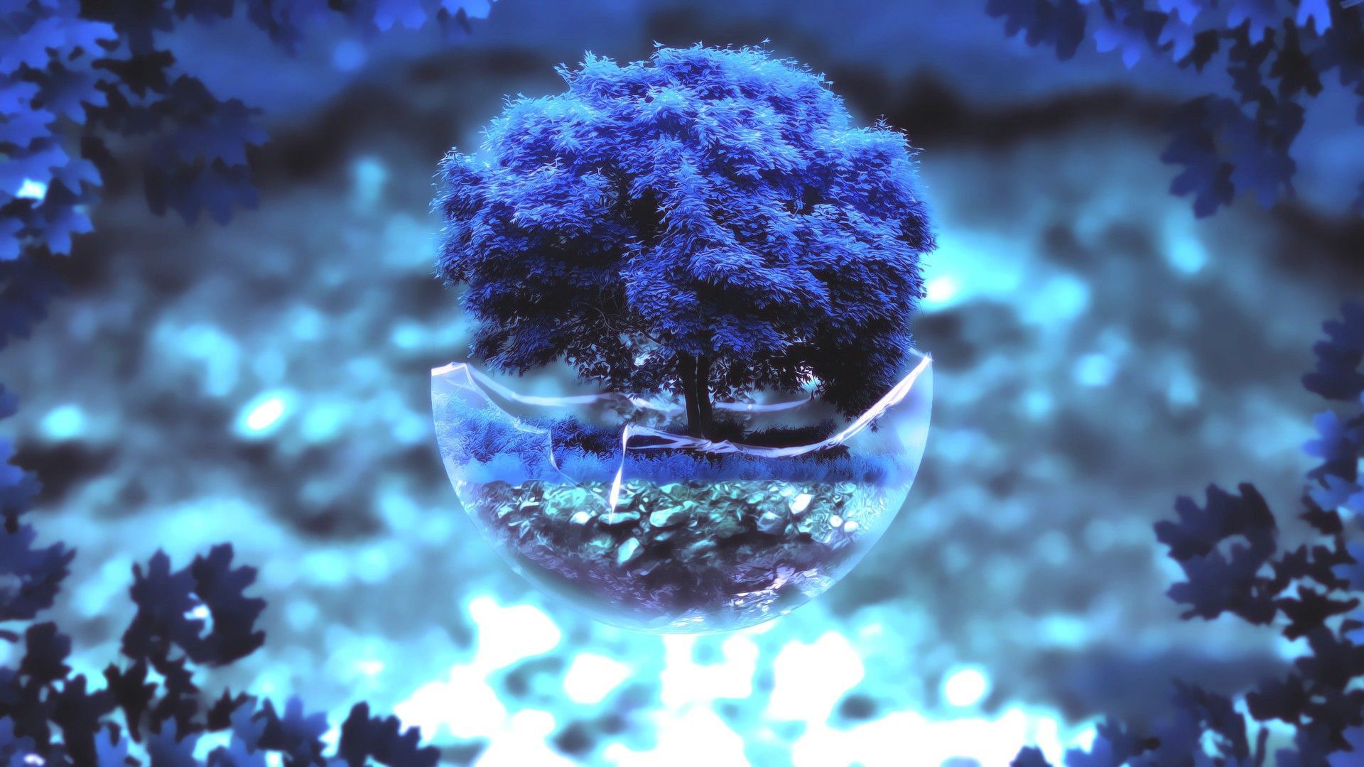  تصویر درخت بونسایا با برگ های فوق العاده زیبا رنگ آبی 