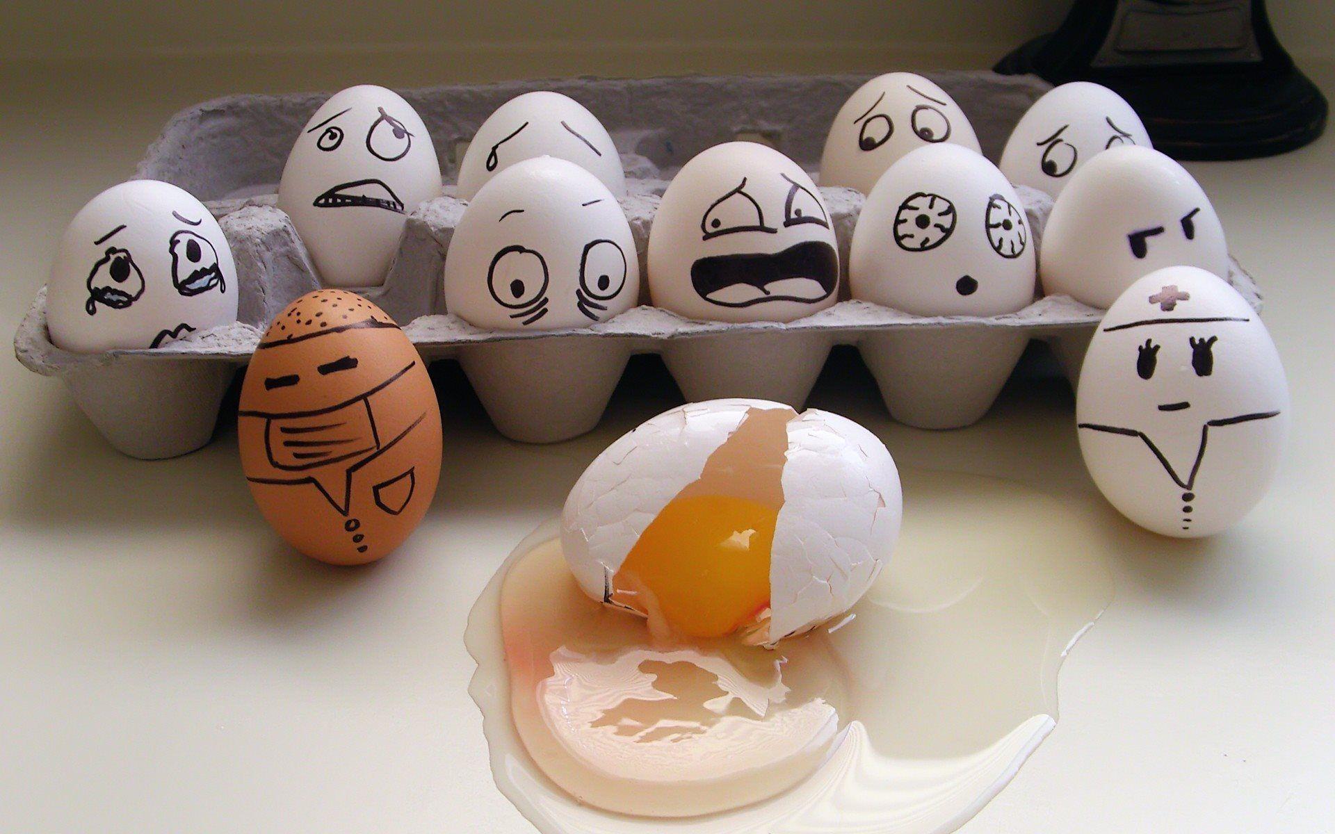 تصویر جالب و بامزه از تخم مرغ برای استفاده به عنوان کاور مجله و پوستر 