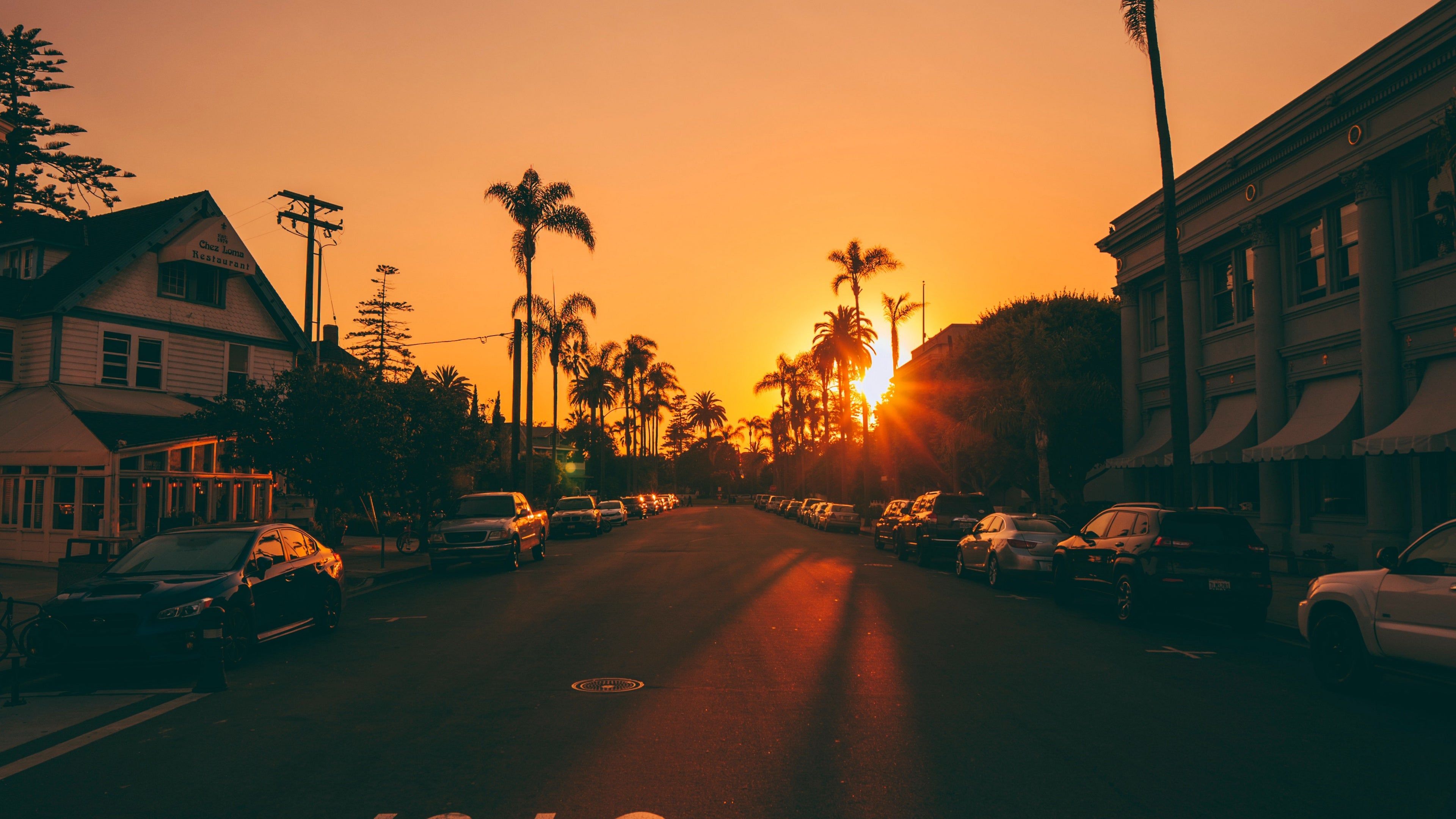 والپیپر رویایی از خیابان های شهر لس آنجلس با درختان نخل دم روباهی لحظه غروب آفتاب