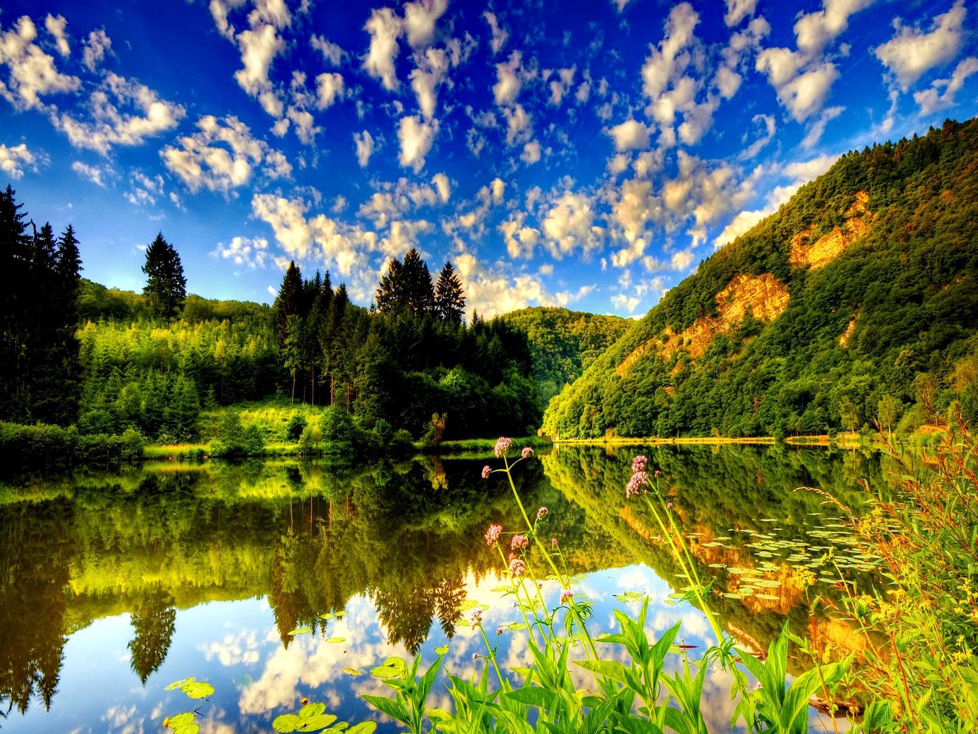 بهترین background تابستانی لپ تاپ با طرح انعکاس زیبای آسمان آبی در دریاچه
