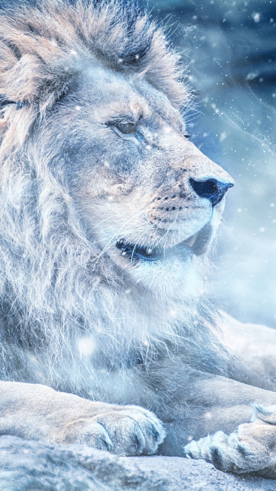 عکس خفن پسرانه شیر در زمستان برفی مناسب زمینه گوشی آیفون