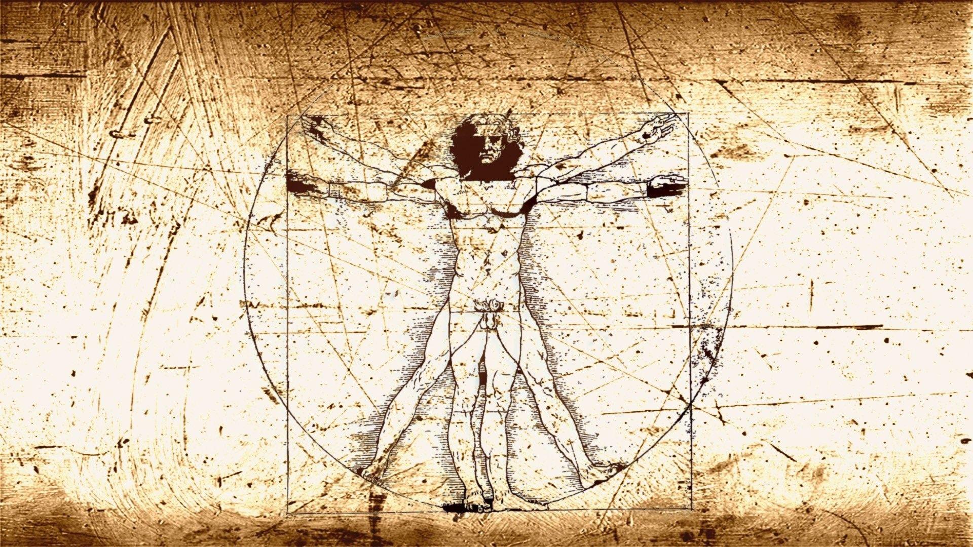 مرد ویترویوسی اثری توسط لئوناردو داوینچی بر طبق تناسبات بدن انسان