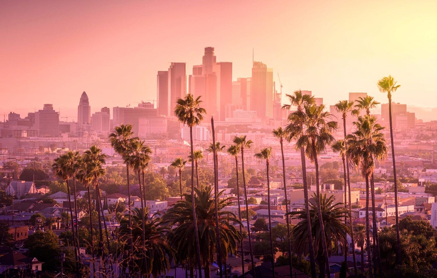 جذابترین و باکیفیت ترین والپیپر صحنه رویایی از افق صورتی در لس آنجلس کالیفرنیا 