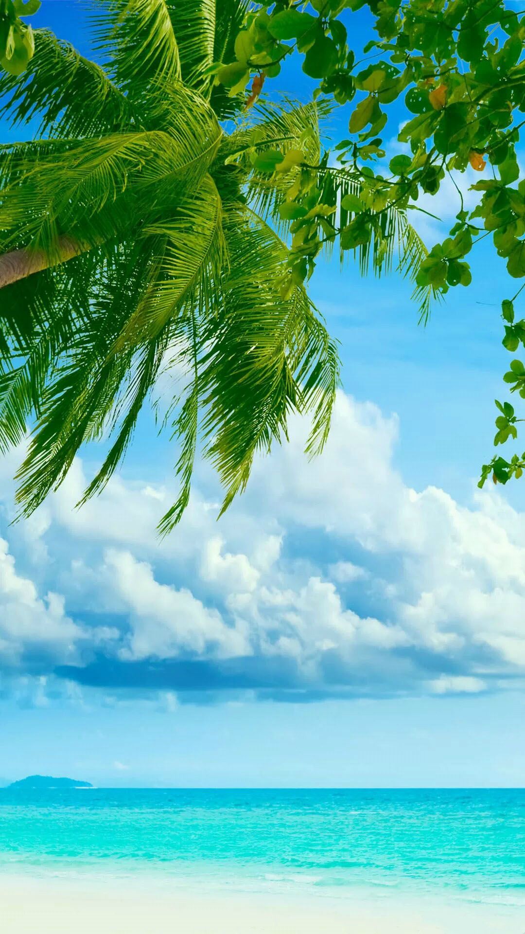 پس زمینه دسکتاپ آب‌وهوای دریایی استوایی دلپذیر با درختان نخل در جزایر سیشل