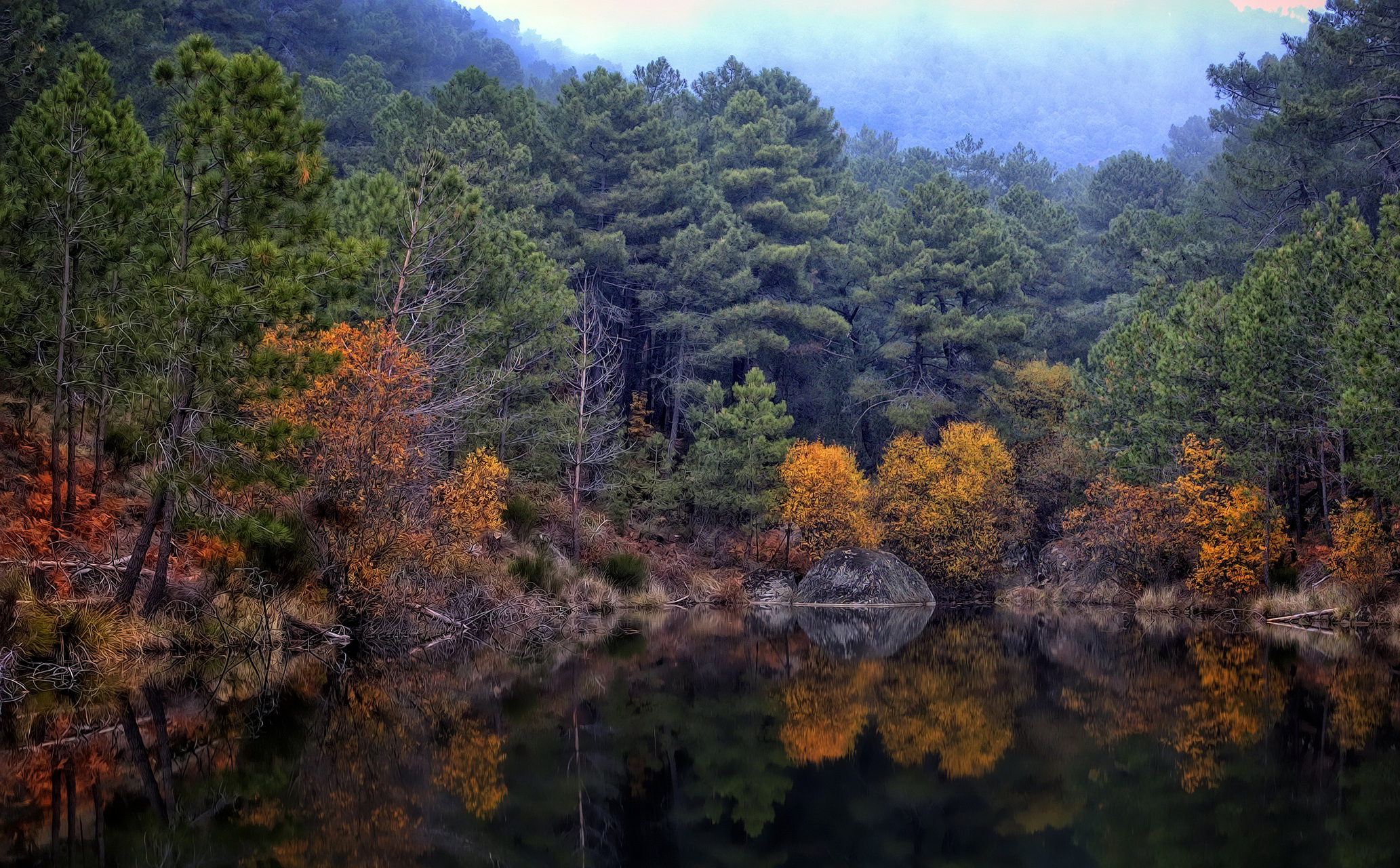 با کیفیت ترین تصویر پروفایل خاص از جنگل خوشرنگ اطراف دریاچه