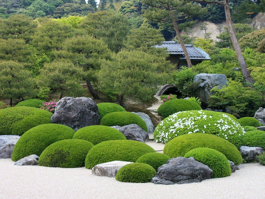والپیپر قشنگ باغ سنگ ذن با پوشش گیاهی سبز برای گوشی Samsung