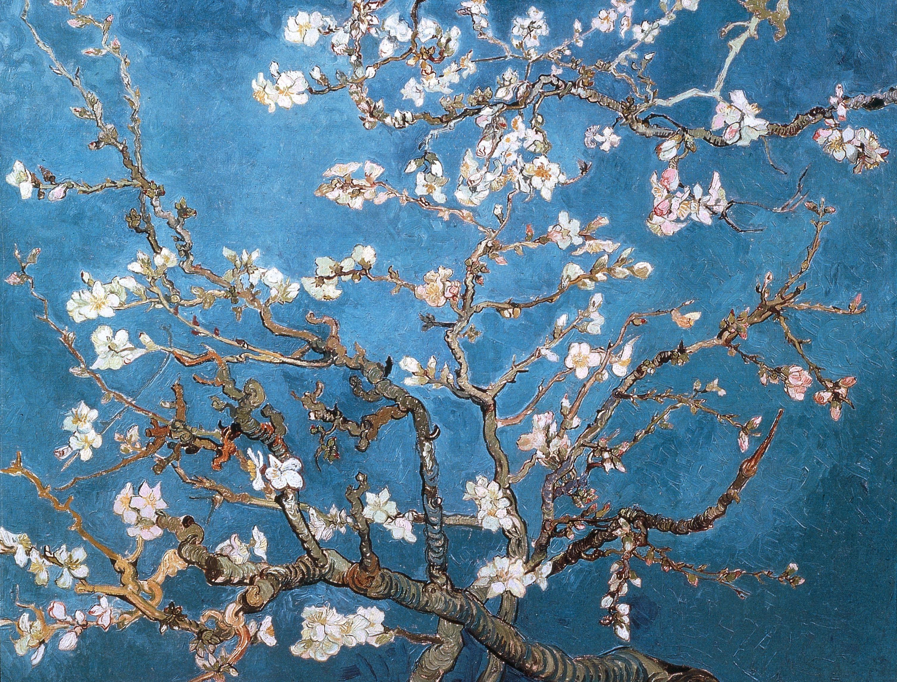 نقاشی زیبا و دیدنی شکوفه های بادام اثر نقاش بزرگ و معروف به اسم ونسان ون گوگ