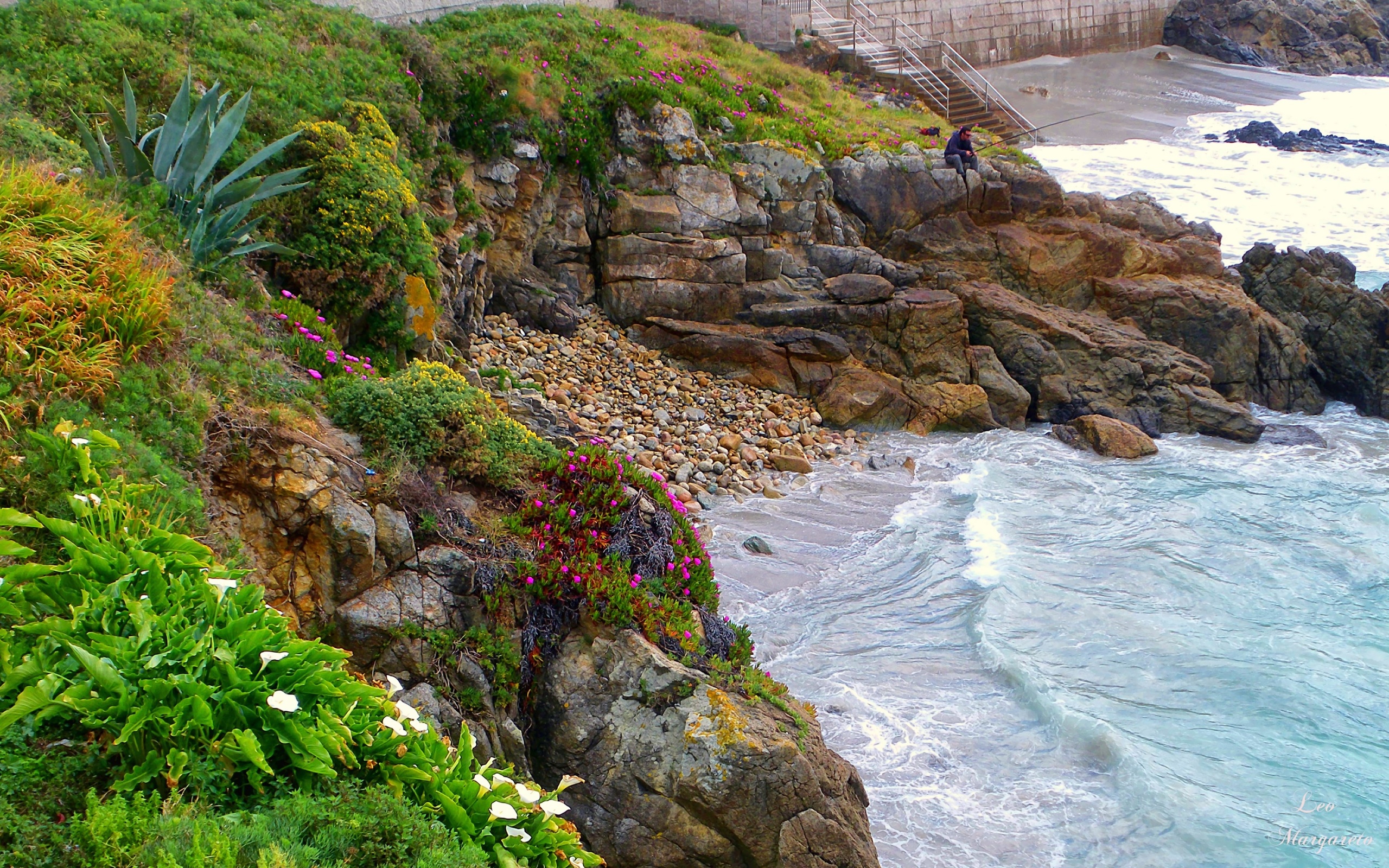 تصویر پروفایل صخره های سرسبز و خفن کنار دریا برای باکلاس ها