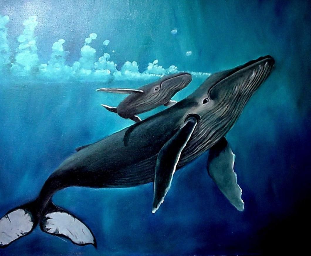 بکگراند جذاب از دو نهنگ نقاشی با کیفیت خیلی خوب 
