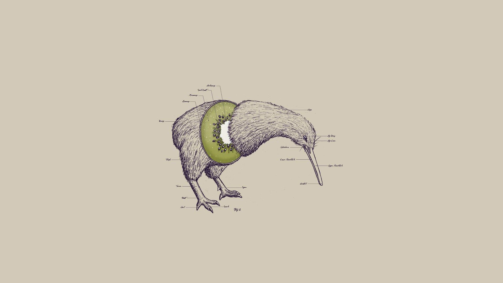 تصویر هنری ابستره پرنده با طرح انتزاعی برای دانلود 