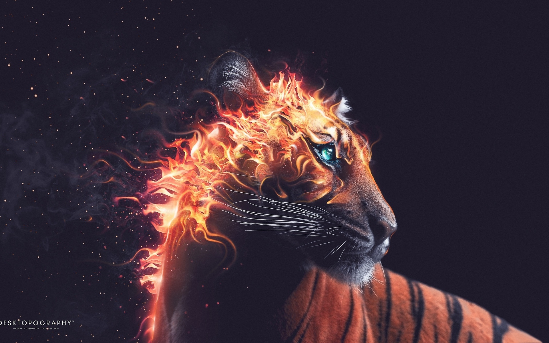 بک گراند هنری پسرانه هنر دیجیتال ترکیبی مجازی و واقعیت ببر آتش گرفته نمادی از شجاعت