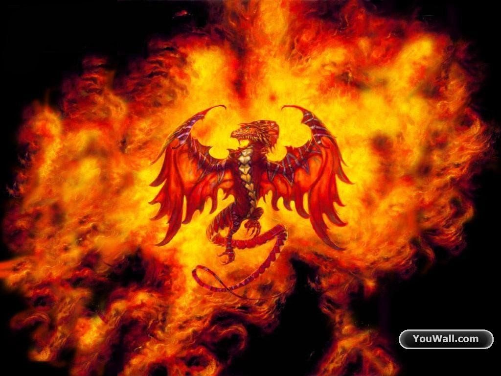 تصویر با کیفیت اژدها آتش که هیچکس نمیتونه به اون نفوذ کنه 