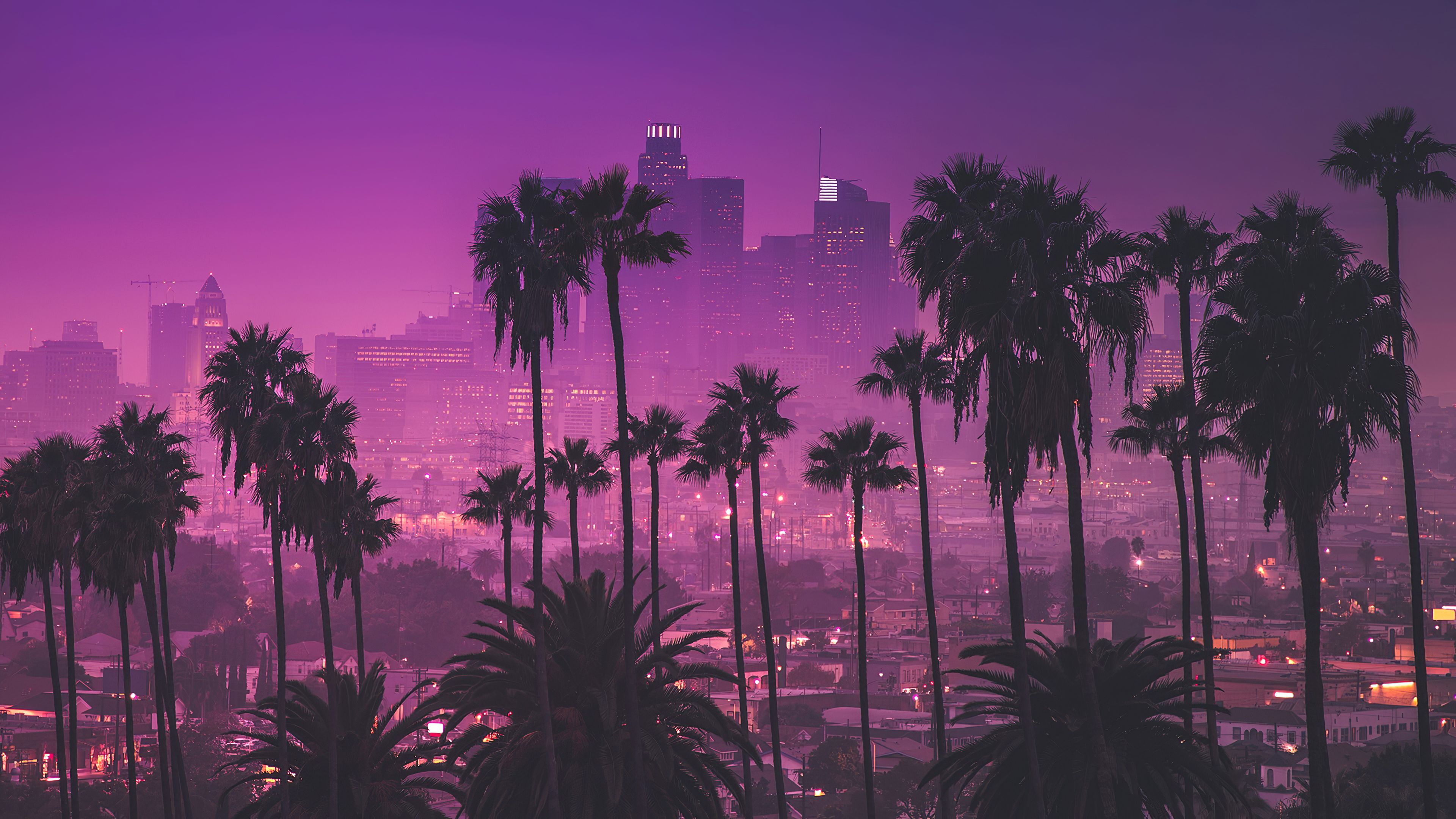جذابترین عکس از منظره صورتی انواع درختان کوکوس و دم روباهی در شهر لس آنجلس