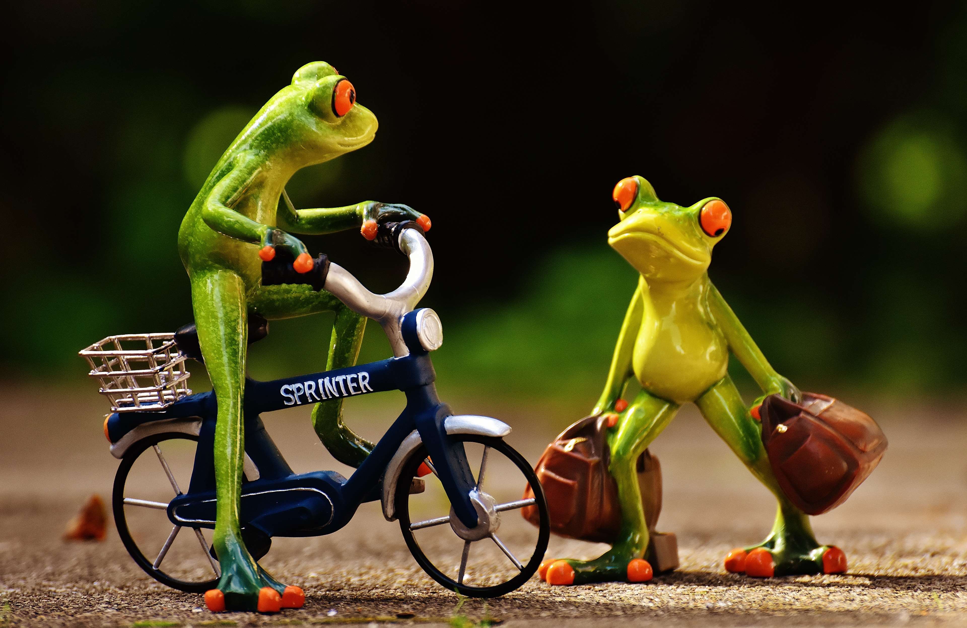 عکس اسباب بازی و دکوری مینیاتوری فانتزی کیوت قورباغه سوار بر دوچرخه 